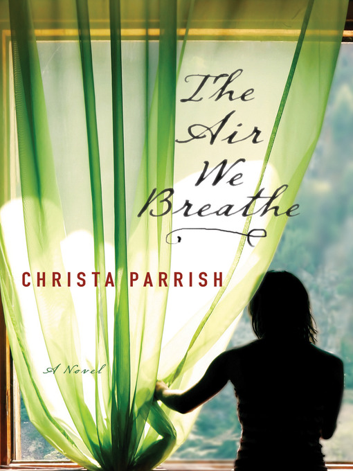 Cover image for The Air We Breathe